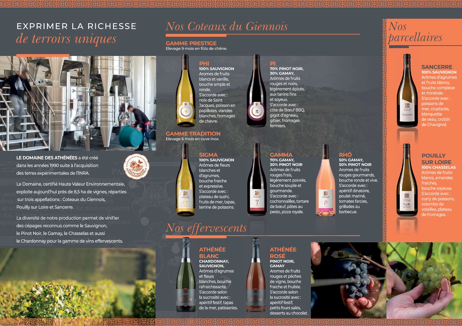 Télécharger le flyer